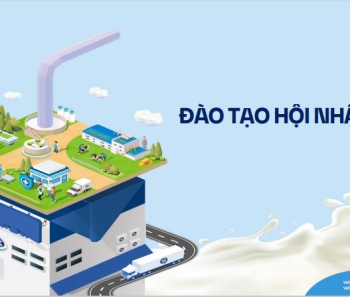 Bài kiểm tra - Đào tạo định hướng